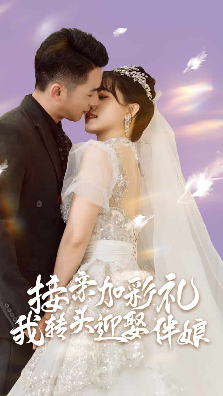 接親加彩禮，我轉(zhuǎn)頭迎娶伴娘(全集)