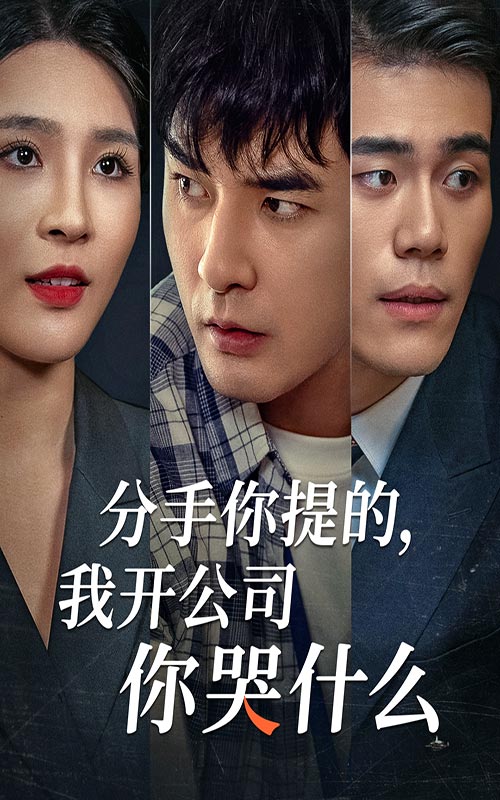分手你提的，我開公司你哭什么(全集)