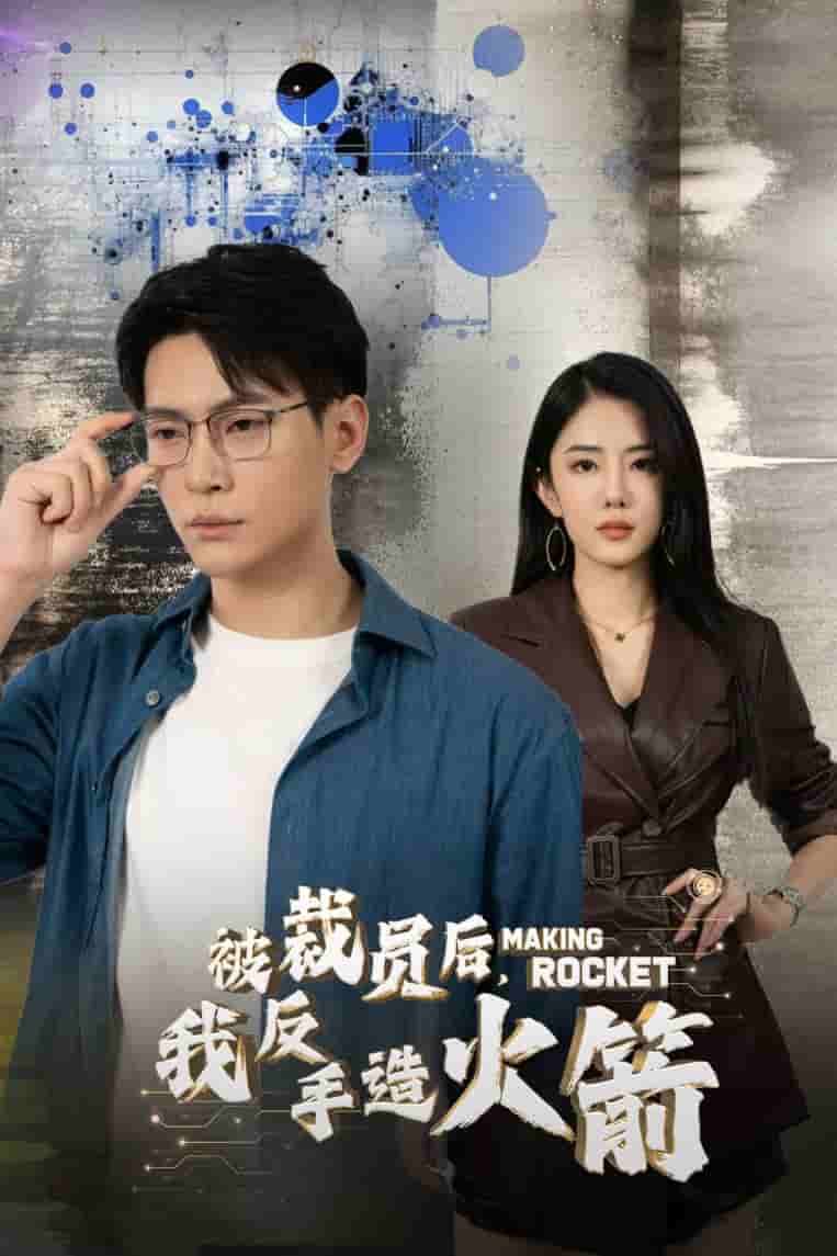 被裁員后，我反手造火箭(全集)