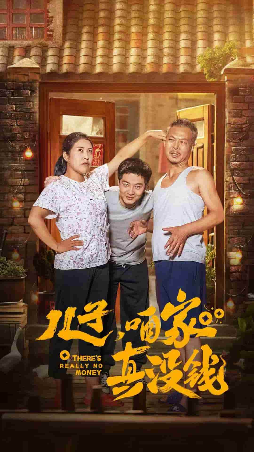 兒子咱家真沒(méi)錢(全集)