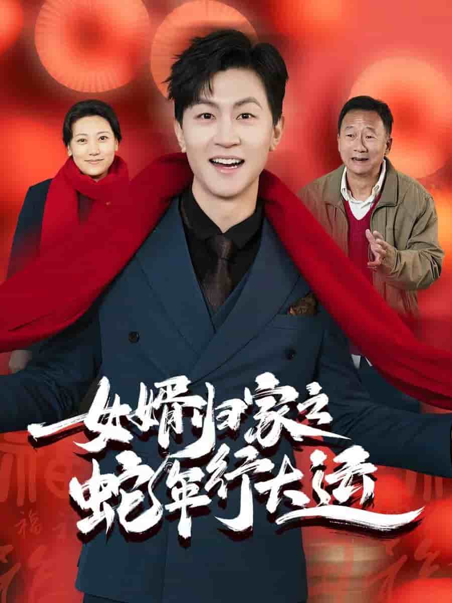 女婿歸家之蛇年行大運(yùn)(全集)