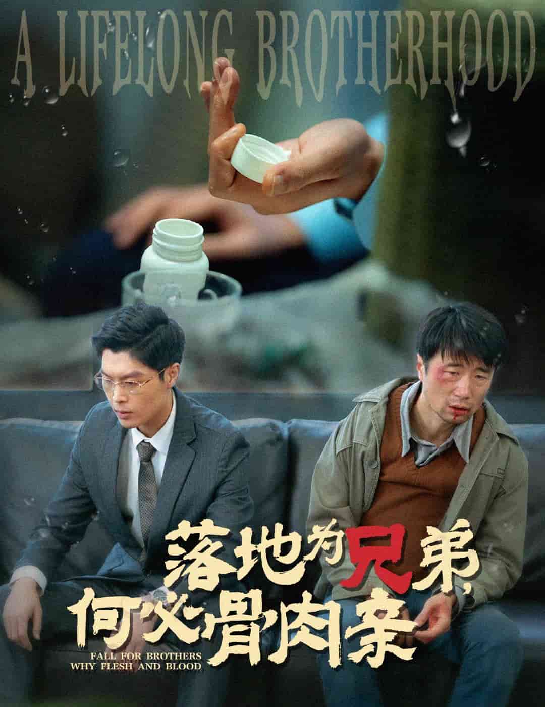 落地為兄弟，何必骨肉親(全集)