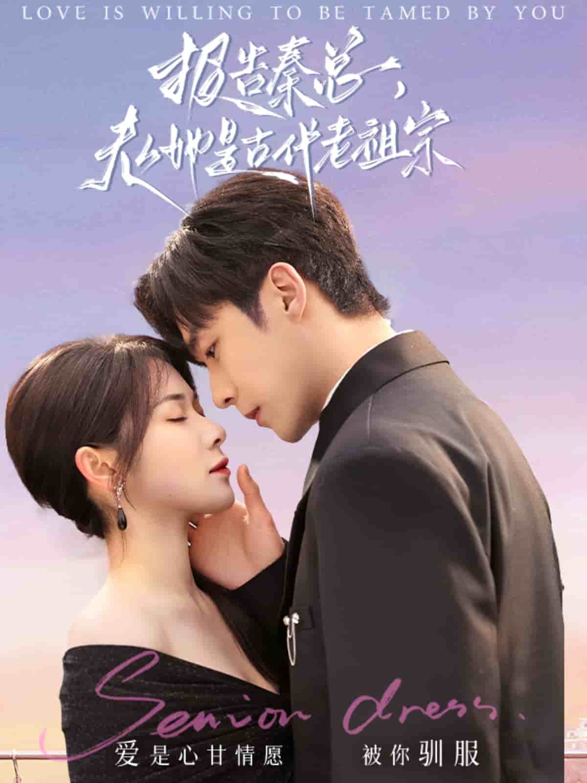 報告秦總，夫人她是古代老祖宗(全集)