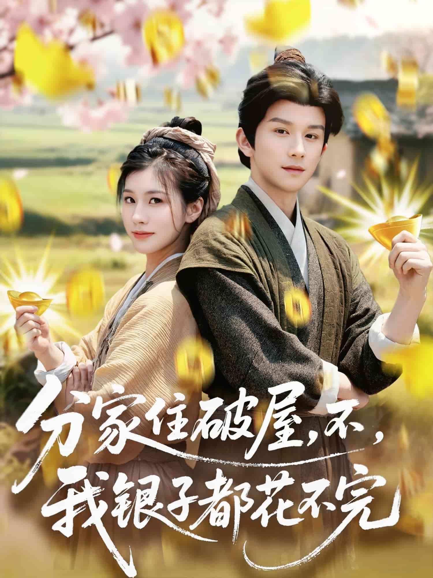 分家住破屋，不，我銀子都花不完(全集)