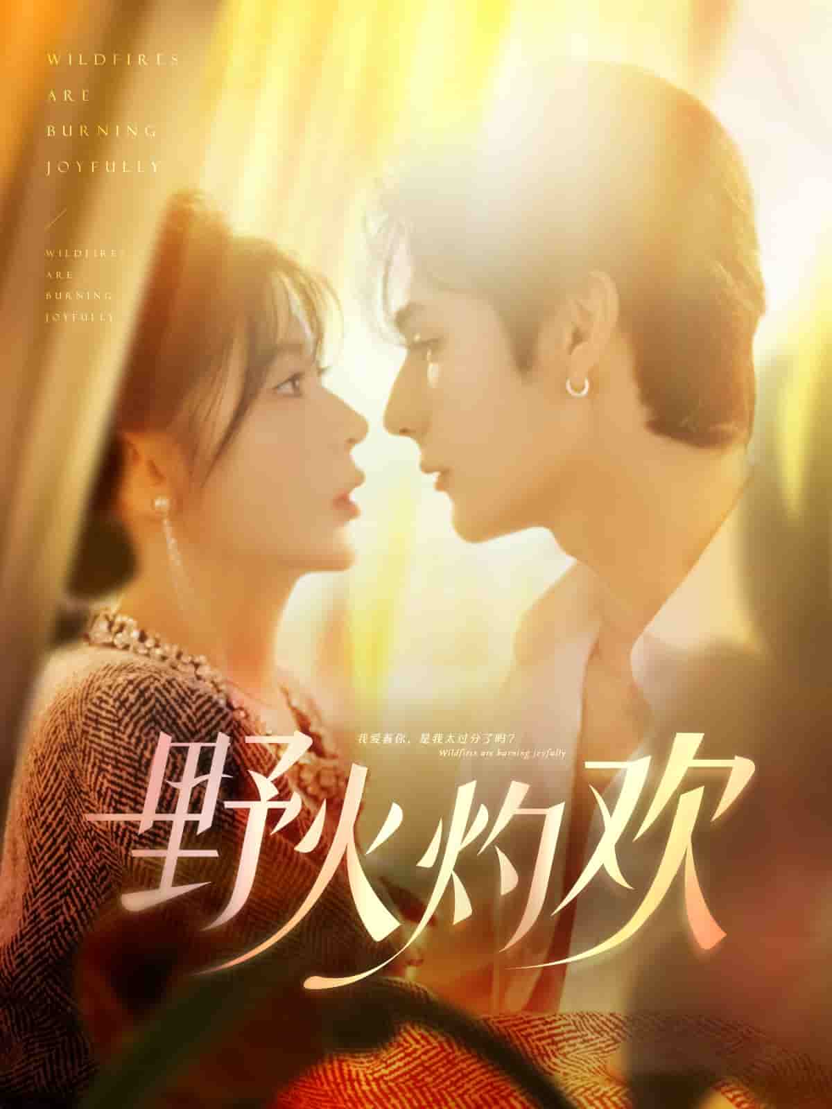 野火灼歡(全集)