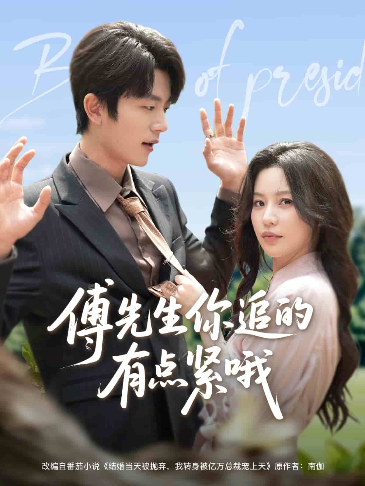 傅先生你追的有點緊哦(全集)