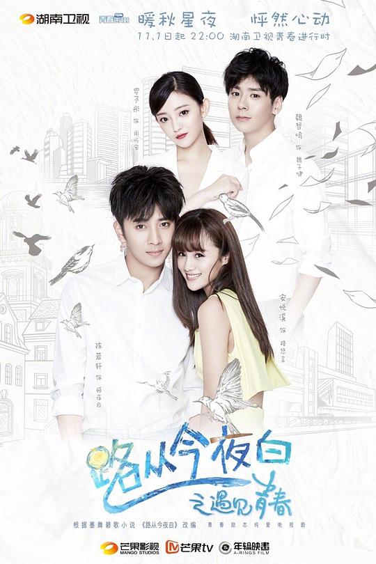路從今夜白之遇見(jiàn)青春DVD版(全集)