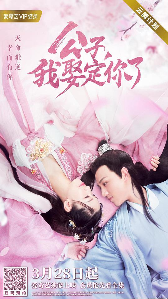 公子，我娶定你了(全集)