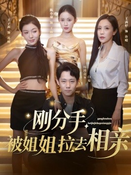 剛分手，被姐姐拉去相親(全集)