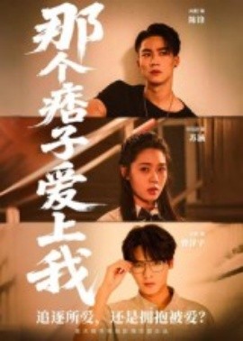 那個(gè)痞子愛上我(全集)