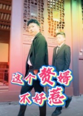 這個(gè)贅婿不好惹(全集)