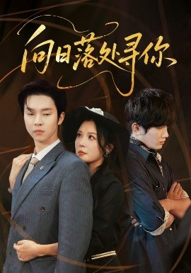 向日落處尋你(全集)