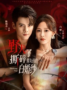 野犬撕碎了那女孩的白婚紗(全集)