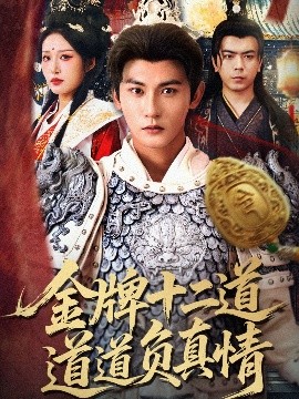 金牌十二道道道負(fù)真情短劇(全集)