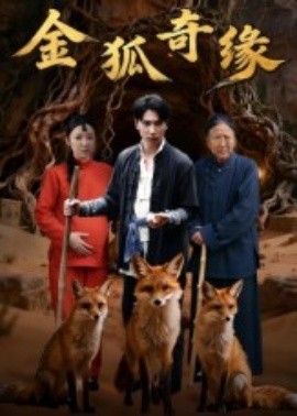 金狐奇緣(全集)