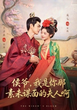 侯爺，我是你那素未謀面的夫人啊(全集)