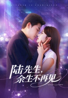 陸先生，余生不再見(全集)
