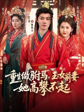 重生做駙馬，玉女前妻她高攀不起(全集)